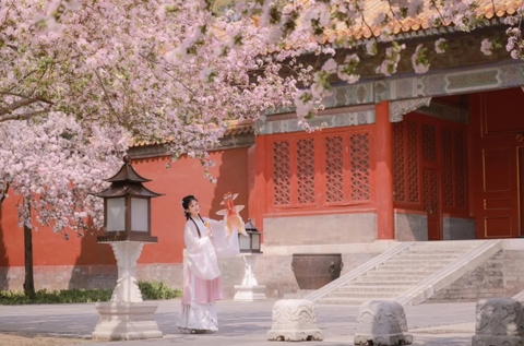 Du lịch Bắc Kinh mùa xuân - Thời điểm vàng khám phá cố đô Trung Hoa