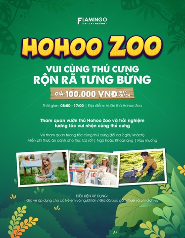Vườn thú Hohoo Zoo Flamingo Đại Lải có gì? Kinh nghiệm vui chơi chi tiết