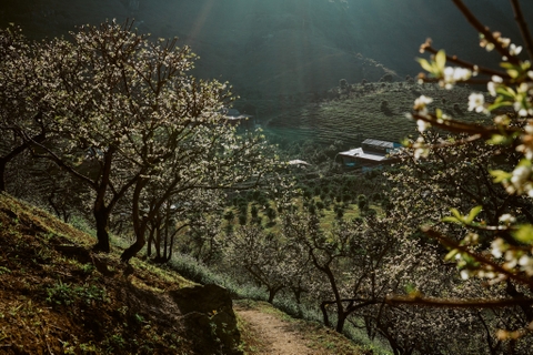 Du lịch Mộc Châu mùa nào đẹp? Kinh nghiệm du lịch Mộc Châu từ A - Z