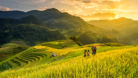 Top những địa điểm du lịch Yên Bái nổi tiếng