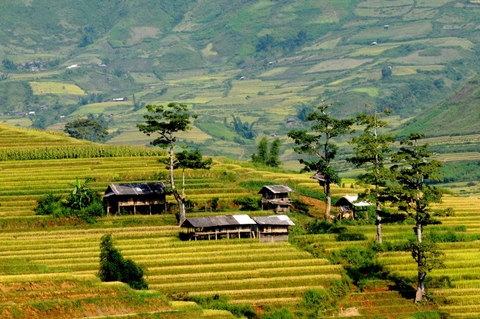 Các bản làng xinh đẹp của núi rừng Tây Bắc
