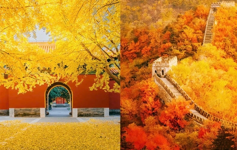20+ check in mùa thu Bắc Kinh đẹp nhất được cư dân mạng Trung Quốc đề xuất