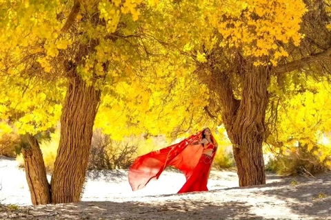 Khám phá 10 địa điểm du lịch mùa thu Trung Quốc đẹp nhất