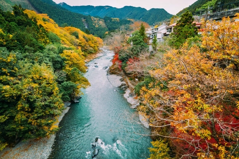 Những điểm ngắm lá tuyệt đẹp mùa lá đỏ Tokyo, Nhật Bản