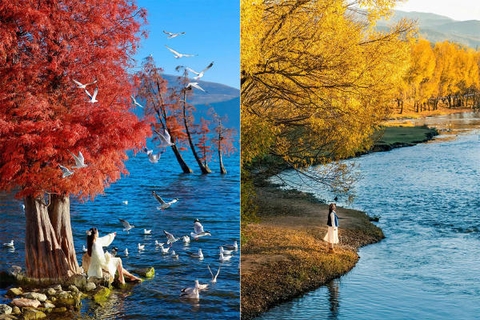 Du lịch Đại Lý Trung Quốc mùa thu đông: TOP 10 địa điểm đẹp nhất