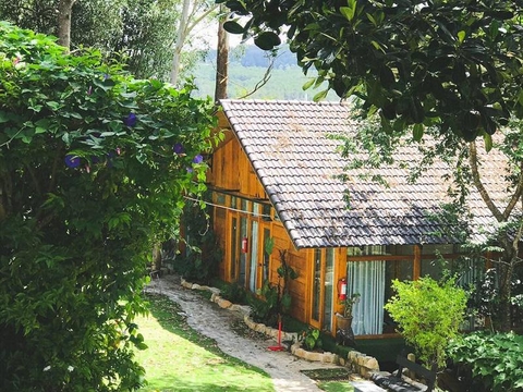 Top 10+ homestay Đà Lạt view đẹp nhất cho team mê sống ảo