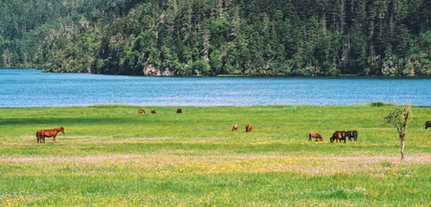 Công viên Potatso – Thiên đường sinh thái giữa lòng ShangriLa