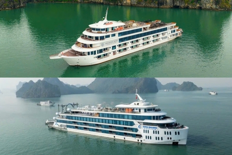 So sánh du thuyền ngày Luna và Ambassador: Đâu là lựa chọn đáng tiền?