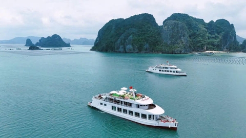 Tàu thăm vịnh Bái Tử Long: Trải nghiệm mới mẻ cho tour Vân Đồn trong ngày