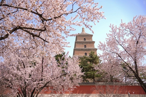 Đặc điểm thời tiết Tây An Trung Quốc và mùa du lịch đẹp nhất