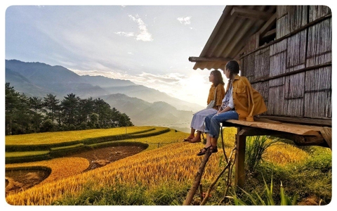 Top 5+ homestay Mù Cang Chải ngắm lúa chín đẹp nhất