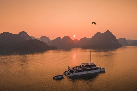 Du thuyền ngày Catamaran Lan Hạ 5 sao