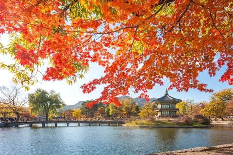Tour du lịch Hàn Quốc Mùa Thu: Hà Nội - Seoul - Nami - Everland 5 ngày 4 đêm