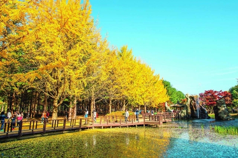 Tour Du Lịch Hàn Quốc 5 ngày 4 đêm từ Hà Nội