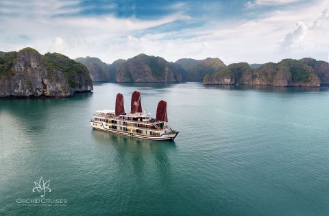 Du thuyền Orchid Cruise 2 Ngày 1 Đêm