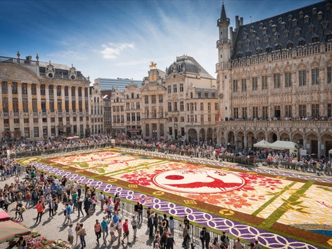 Tour Châu Âu 6 Nước Pháp - Bỉ - Hà Lan - Đức - Thụy Sĩ - Ý 10N9Đ