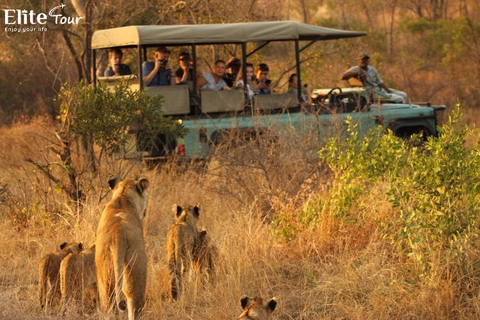 Tour Nam Phi Khám phá Huyền thoại Lục Địa Đen 9 ngày 7 đêm