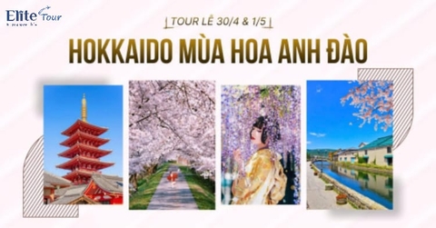 Tour Nhật Bản: Hokkaido - Tokyo ngắm hoa anh đào và tử đằng 6N5Đ