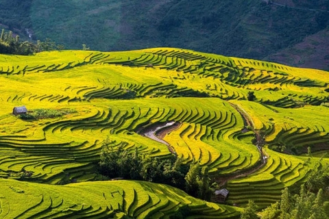 Tour Hà Nội – Y Tý 2 Ngày 1 Đêm: Săn Mây Ngải Thầu Và Ruộng Bậc Thang