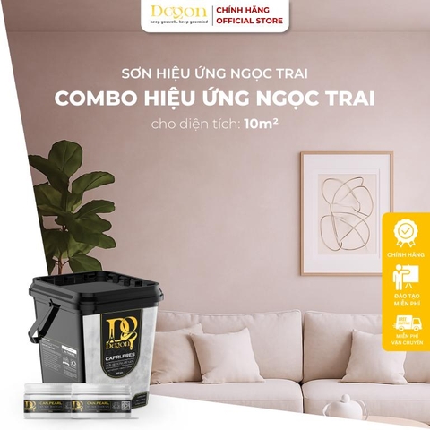 Combo 10m2 Sơn hiệu ứng Ngọc Trai [Định mức 10m2]|HIỆU ỨNG DE'GON