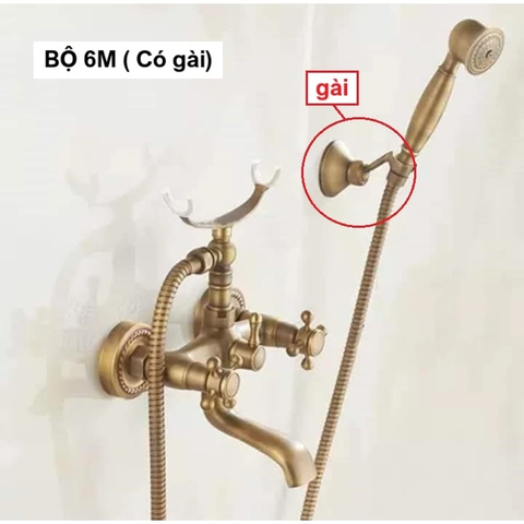 Sen tắm gắn tường (có tay cầm)