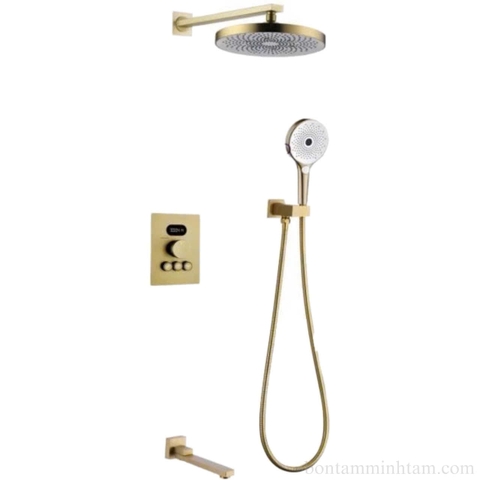 Sen đồng thau âm tường mạ PVD MT-SAT35 cao cấp