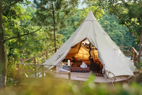 Zenda Glamping Nhà gỗ trong rừng Bảo Lộc – Trải nghiệm nghỉ dưỡng xanh giữa thiên nhiên