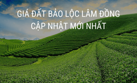 Giá đất phường 2 Bảo Lộc Lâm Đồng: Cập nhật mới nhất 2025