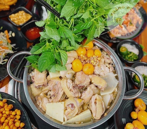 Lẩu Gà Lá É: Món Đặc Sản Cao Nguyên Bảo Lộc – Hương Vị Ấm Áp, Độc Đáo