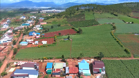 Mua bán đất Đơn Đường DH413