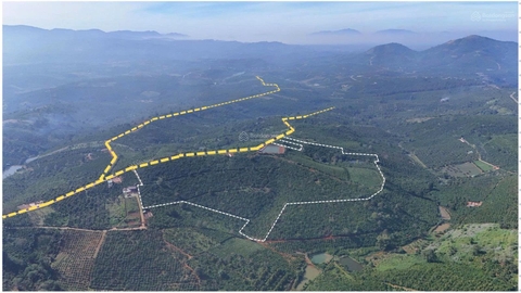 Bán đất Di Linh tại xã Tân Châu view đồi