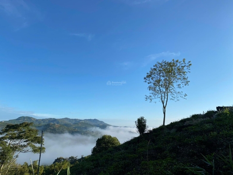 Bán đất Bảo Lâm xã Lộc Thành giá ngộp