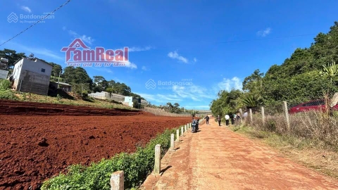 Mua bán đất Đơn Dương xã Quảng Lập