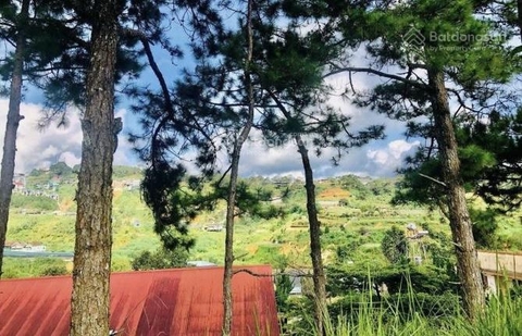 Bán đất Đà Lạt đường Phan ĐÌnh Phùng