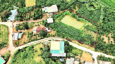 Bán đất Lâm Đồng tại Lộc Đức ngay mặt tiền đường