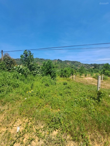 Mua bán đất nền Đạ Huoai xã Đạ Tồn