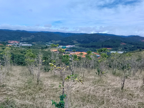 Bán đất Lạc Dương tại xã Đạ Sar mặt tiền 10m