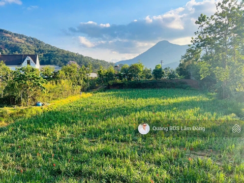 Đất nền Đức Trọng tại Định An giá tốt