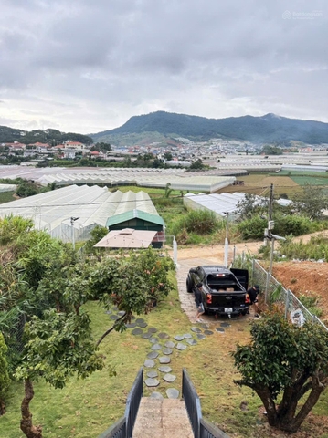 Mua bán đất Đà Lạt tại Phước Thành