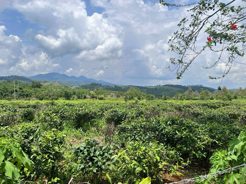 Bán đất nền Đà Lạt tại đường Thống Nhất giá tốt