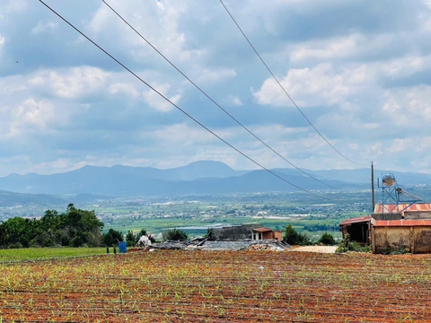 Đất Lâm Hà đường Tân Văn chính chủ