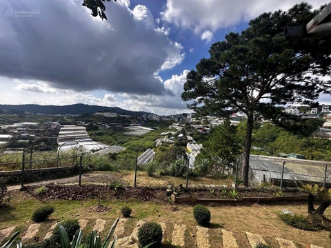 Đất nền Đà Lạt đường An sơn