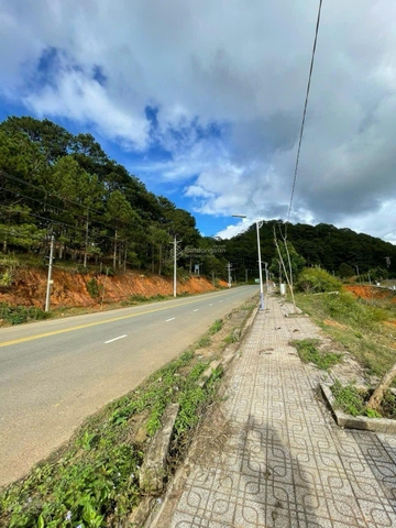 Mua bán đất Lạc Dương gần Hồ Xuân Hương