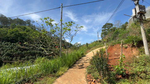 Bán đất nền Đà Lạt tại xã Đạ Nhim có vườn