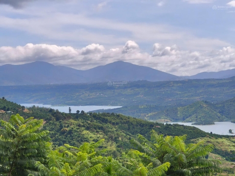 Bán đất Lâm Hà sổ hồng riêng giá ngộp