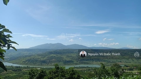 Mua bán đất vườn Đơn Dương giá ngộp