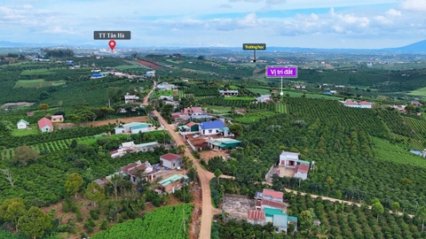 Bán đất Lâm Hà xã Hoài Đức giá tốt