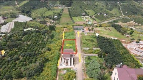 Mua bán đất Đà Lạt tại Tà Nung