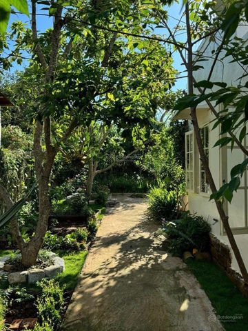 Bán nhà vườn tại đất Đà Lạt