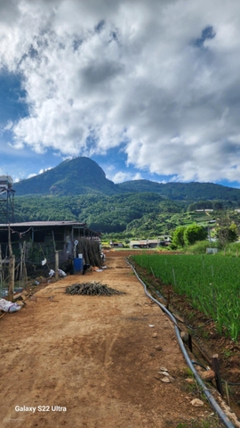 Mua bán đất Đức Trọng đường 20 giá tốt